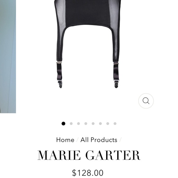 voluptas rose Other - Retro mesh garter belt